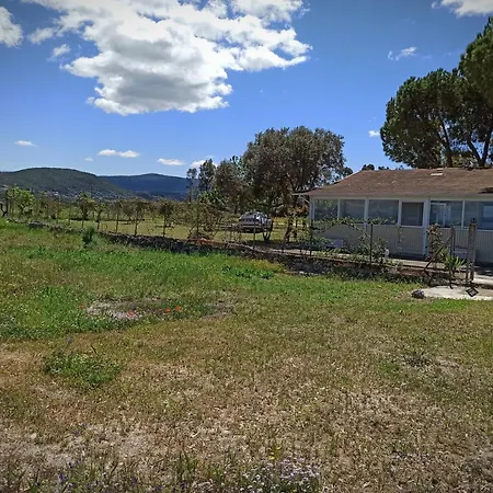 Holiday home Kite House *